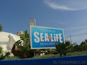 Sea life i Benalmadena